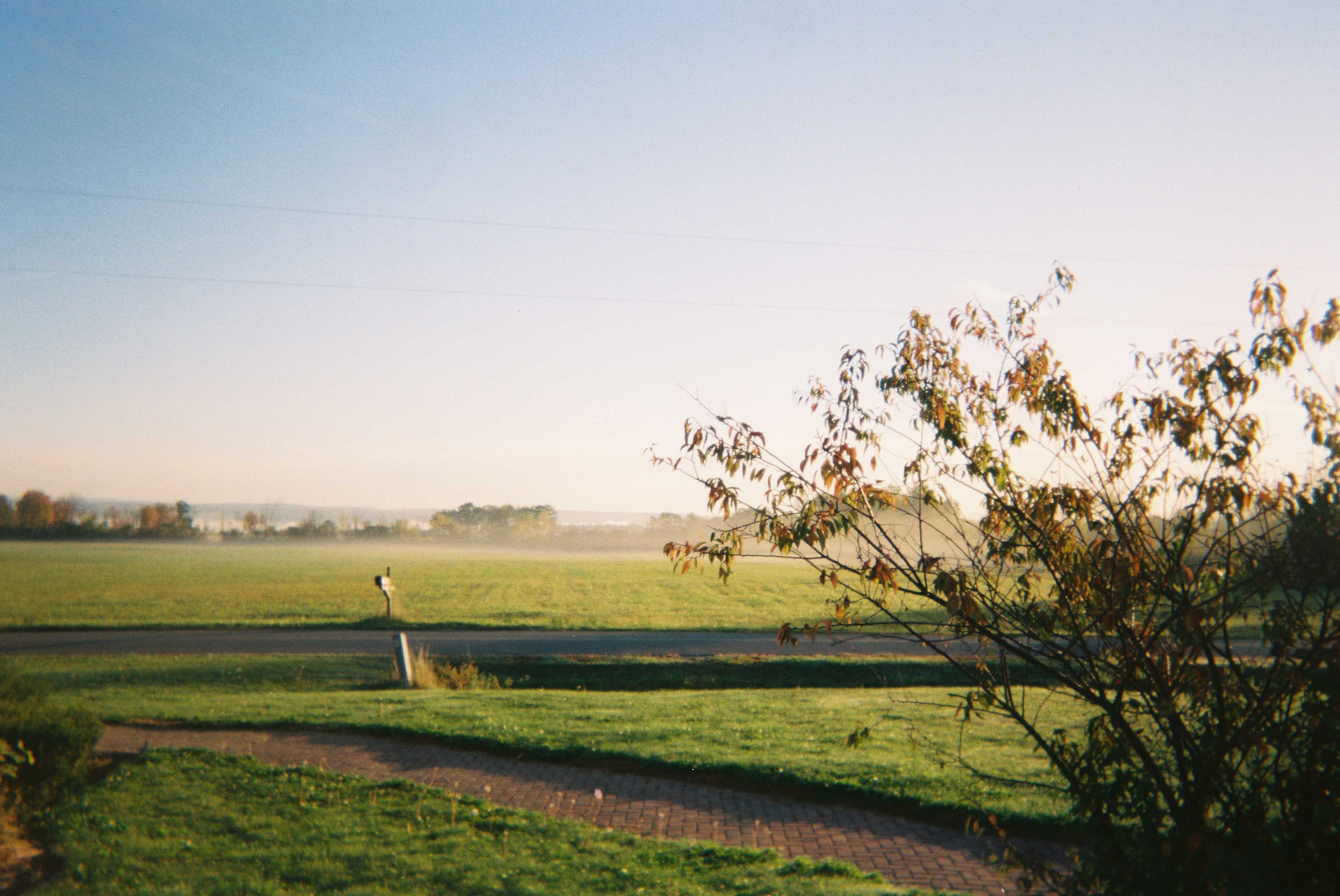 Nature
